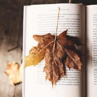 不要太粘!这些星座在恋爱中需要一种距离