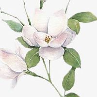 手机号倒数第二个是3 招财旺运的手机号码