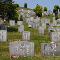 2022年8月29日，老虎一年是祖先和坟墓的黄色日历？