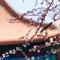 八字只有偏印但没有后妈 年干偏印无继母