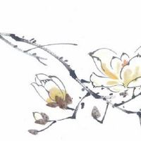 流年夫妻宫太阳化忌 太阳太阴同夫妻宫