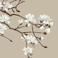 本命年考公务员顺利吗 考研会不顺利吗