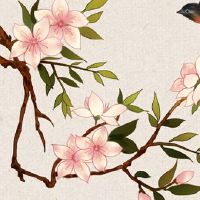 八字硬的女人适合嫁什么男人 八字硬性格独立嫁得好