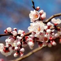 为夫之道的讲究