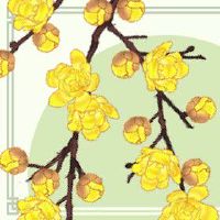 炉中火和火命人可以干事业吗 多才多艺财运薄但走官贵运