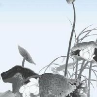 2022年6月5日当日黄历分析?这天是良辰吉日吗?