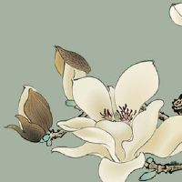 本命年可以参加葬礼吗 参加葬礼的注意事项