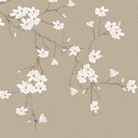 女命看什么宫最重要 太阳星入命宫的女性最好命