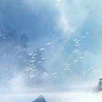 手机号好不好是看最后四位么 吉利添财的靓号数组