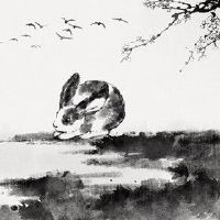 属兔一生事业方向运程 易遇小人易得吉星相助