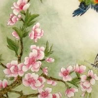 本命年可以结婚吗 有什么说法