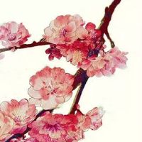 2022年8月15日出生的属虎女宝宝八字五行查询 富贵不愁 财运亨通