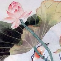 属兔的财运方向与位置 财神方位在何处