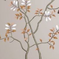 女人左手有横纹是什么命 有两条平行斜纹