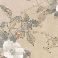 1987年属兔35岁后享福 财运家庭双丰收