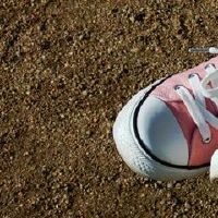 属相猪男2022年运势全集