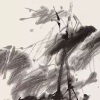 2010年属虎的2022年下半年运势运程 小升初重要阶段