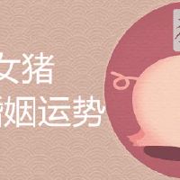 男龙女猪是上等婚姻吗