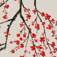 怎么样才能转运旺财 发酵茶有招财的风水作用