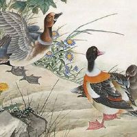 87属兔三次婚姻在几岁 一波三折的婚姻