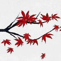 属兔生在几月最命苦 属兔最忌讳几月出生