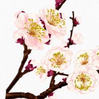 生辰八字免费查十神 不同八字十神详解