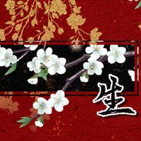 2022年必定发横财的生肖 命定之人事半功倍