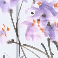 2022年8月27日出生的属虎女宝宝五行缺什么,是什么命