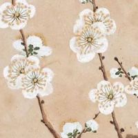 2022年属蛇怎么破解刑太岁 可适当开拓副业