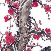 2022年8月28日出生的男宝宝命运好吗 顺风顺水 家庭幸福