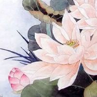 车牌号带Q的字母可好 大提升的车牌字母推荐