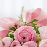 Lunita Star Tour Scorpio一周的财富(5.16-5.22)