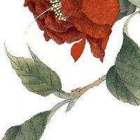 2022年生肖牛10月入宅日子查询 宜乔迁搬家吉日