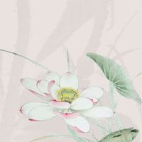 2022年9月6日出生的男孩命好吗 运势旺盛 财运亨通