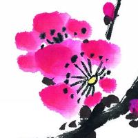 农村厕所为什么在西南侧 卫生间开房子正中心对财运不利