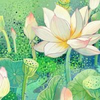 夏至艾灸的最佳时间及注意事项 调理穴位有要求