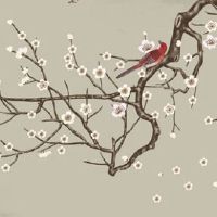 74年虎适合戴什么首饰 金戒指提升中年属虎人气场