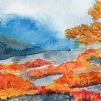 手机号码哪些数字不好 五行吉利富贵的号码宝典