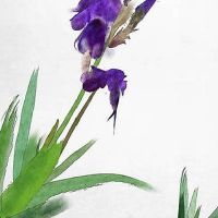 2022年9月3日黄历查询,今日时辰吉时分析