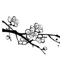 母婴店取名字大全集 最吉利好听店面名称