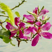 巨蟹座和天蝎座婚配匹配值如何