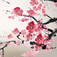 手机号码倒数几位含义 吉祥旺运的手机号码宝典