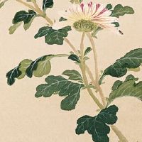 1986属虎的本命年是哪些年 本命年戴护身符平安顺遂