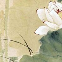 象征财源滚滚的店名免费 高级大气店面取名