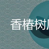 院子里种香椿树的风水禁忌是什么？
