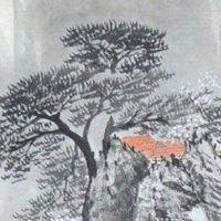 2022年9月25日出生属虎男宝宝命运好吗 利官近贵 名利双全