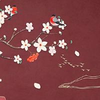 车牌号尾号98怎么样 车牌尾数98有财富