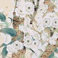 2022年9月24日出生的女孩子五行缺什么 是什么命