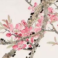 92年的猴30以后开始顺风顺水 事业转好几率大