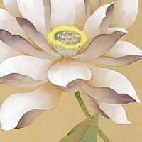 选车牌号尾数是几最好 招财的车牌尾数靓号